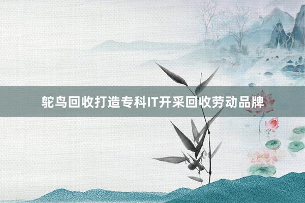 鸵鸟回收打造专科IT开采回收劳动品牌